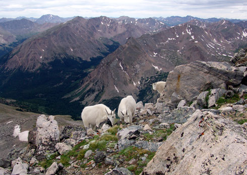 website photo